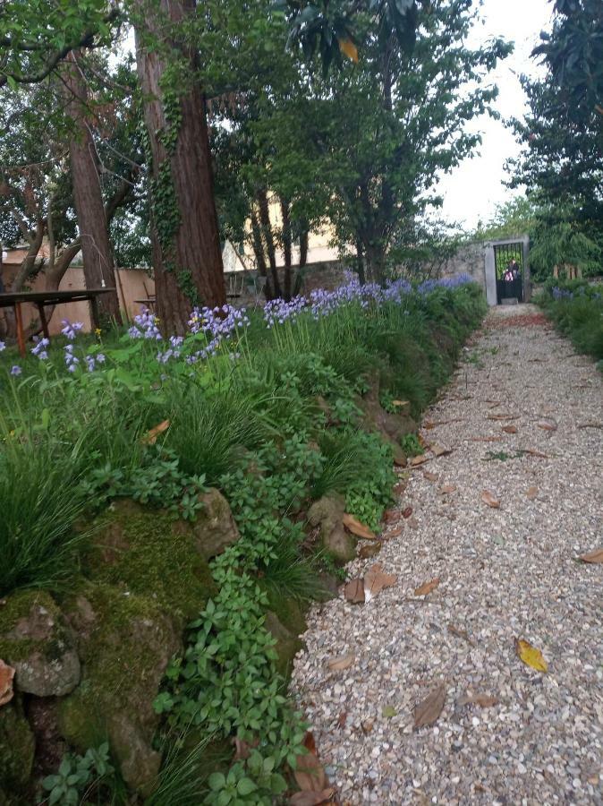 בולסנה B&B Villa Gualterio מראה חיצוני תמונה
